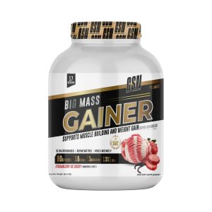 GSN - Big Mass Gainer |3 Kg