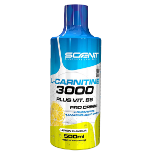 L-Carnitine 3000 + Vitamin B6 - Scenit Nutrition | 500 ml