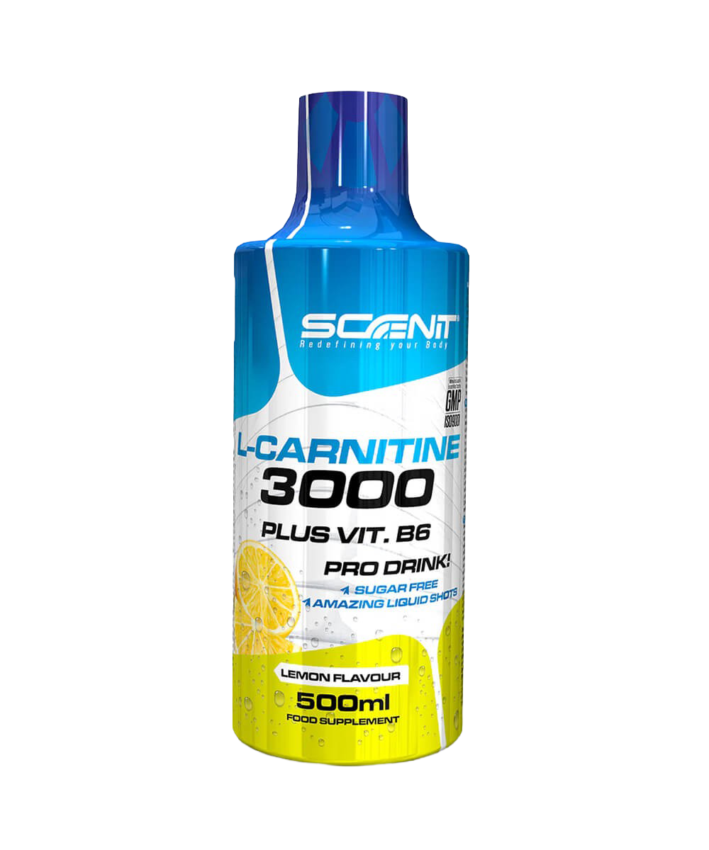 L-Carnitine 3000 + Vitamin B6 - Scenit Nutrition | 500 ml