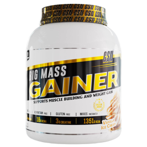 GSN – BIG MASS GAINER | 1KG